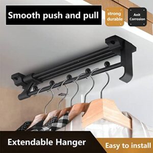 BGTLGIO Heavy Duty Extendable Pull Out Closet Rod，Sliding Wardrobe Closet valet Rod，Adjustable Clothing Organizer Holder Extendable Wardrobe Rail Tube Rod (15.75")