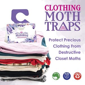 MothMag Moth Traps for Clothes, Closets, Fabrics, and Carpets, Clothes Moth Traps, Closet Moth Traps,Clothing Moth Pheromone Traps, Mothballs Alternative, How to Get Rid of Moths in House