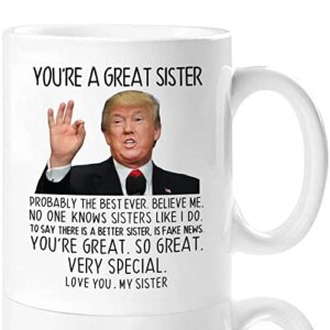 aurahouse funny sister christmas gifts from sister, you're a great sister trump mug, sister birthday gifts from sister brother, valentines day, mothers day gifts for sister coffee cup(white,11oz)