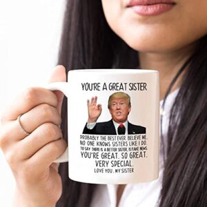 Aurahouse Funny Sister Christmas Gifts from Sister, You're A Great Sister Trump Mug, Sister Birthday Gifts from Sister Brother, Valentines Day, Mothers Day Gifts for Sister Coffee Cup(White,11Oz)