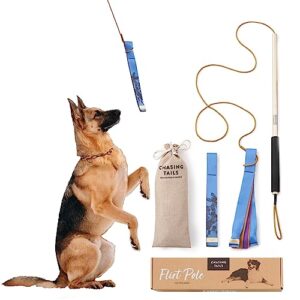 chasing tails flirt pole for dogs heavy duty - 26 inch with 30 inch rope and two toys for all breeds - spring pole for dogs, dog flirt pole for large dogs, dog catcher pole