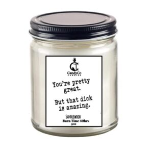 you're pretty great, gift for him, anniversary gift, scented candle, gag gift, funny boyfriend gift, husband gifts, funny candles, dick pussy
