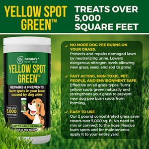 Yellow Spot Green™ Cures Urine Burns and Prevents Yellow Spots in Your Yard. Dog Urine Neutralizer for Lawns. Repair and Protect Grass from Dog Pee. Easy to Use Granules. Large 32 Ounce.