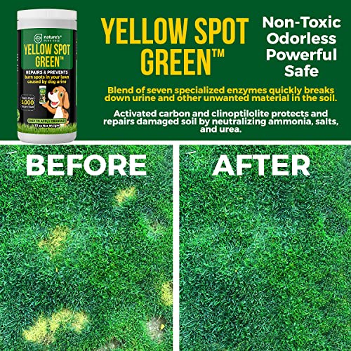 Yellow Spot Green™ Cures Urine Burns and Prevents Yellow Spots in Your Yard. Dog Urine Neutralizer for Lawns. Repair and Protect Grass from Dog Pee. Easy to Use Granules. Large 32 Ounce.