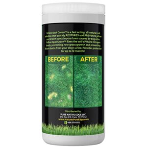 Yellow Spot Green™ Cures Urine Burns and Prevents Yellow Spots in Your Yard. Dog Urine Neutralizer for Lawns. Repair and Protect Grass from Dog Pee. Easy to Use Granules. Large 32 Ounce.