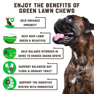 Green Lawn Chews for Dogs - Cranberry, ACV, Digestive Enzymes - Natural Dog Urine Neutralizer for Lawn - Supports Healthy Bladder, Urinary Tract - 180 Tasty Dog Treats for Yellow Burn Grass Spots