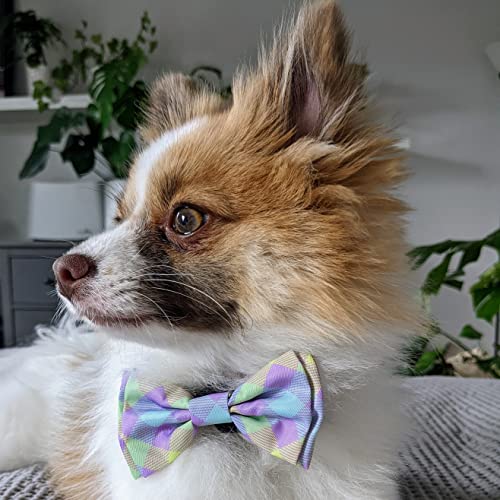 Huxley & Kent Bow Tie for Pets | Lavender Lemon (Extra-Large) | Easter Spring Velcro Bow Tie Collar Attachment | Fun Bow Ties for Dogs & Cats | Cute, Comfortable, and Durable | H&K Bow Tie