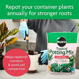Miracle-Gro Tropical Potting Mix - Growing Media for Tropical Plants Living in Indoor and Outdoor Containers, 6 qt. (2-Pack)