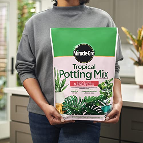 Miracle-Gro Tropical Potting Mix - Growing Media for Tropical Plants Living in Indoor and Outdoor Containers, 6 qt. (2-Pack)