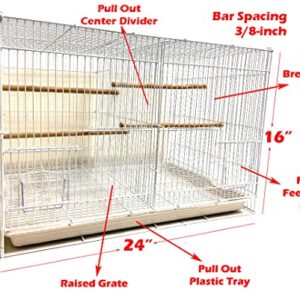 Small Breeder Breeding Cages with Center Dividers, Pack of 6, 24 x 16 x 16 H inches (24 x 16 x 16 H inches, Black)