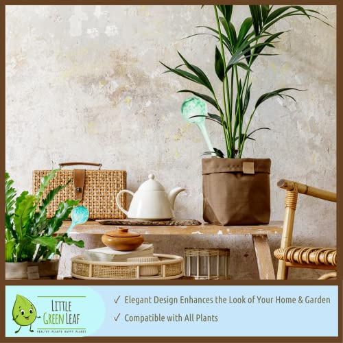 LGL Plant Watering Globes - 2 Pieces. Decorative Self Watering Planter Inserts Made From Hand-Blown Durable Glass. Keep your Outdoors and Indoor Plants Healthy. Ideal Plant Lover Gift (2pk Small)