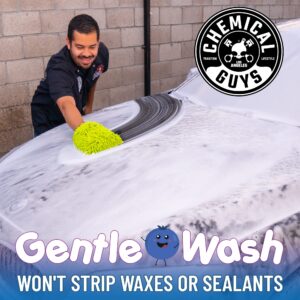 Chemical Guys CWS21616 Blueberry Snow Foam Car Wash Soap (Works with Foam Cannons, Foam Guns or Bucket Washes), Safe for Cars, Trucks, SUVs, Jeeps, Motorcycles, RVs & More, 16 fl. Oz