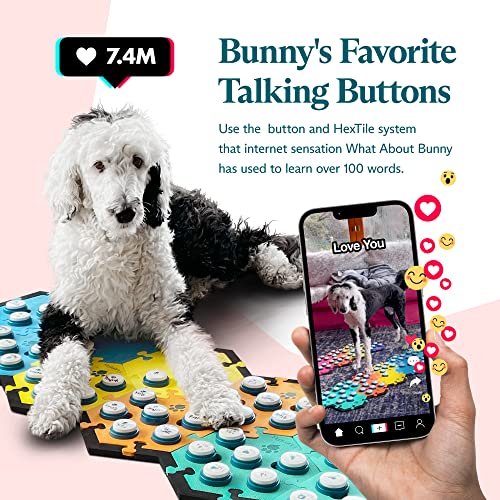 FluentPet Sound Button Tester Kit - Dog Buttons for Communication - Compact Talking Buttons for Dogs and Cats - Dog Talking Button Set with 2 Recordable Buttons and 2 Compact HexTile Soundboard Mats