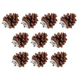 Bird Bite Pine Cones, Safe More Fun Natural Pine Cone Chewing Bird Toy Nut Fix Multifunction for Conure for Parakeet