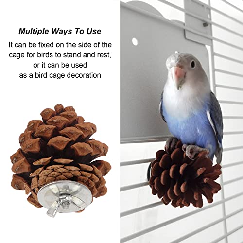 Bird Bite Pine Cones, Safe More Fun Natural Pine Cone Chewing Bird Toy Nut Fix Multifunction for Conure for Parakeet