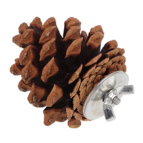 Bird Bite Pine Cones, Safe More Fun Natural Pine Cone Chewing Bird Toy Nut Fix Multifunction for Conure for Parakeet