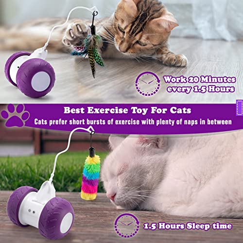 BEBOBLY Automatic Cat Toys Interactive for Indoor Cats, Electric Mouse Feather Toy for Kitten Pet Exercise Chasing Hunting, Self-Entertaining Smart Toys for Play Alone, USB Charging