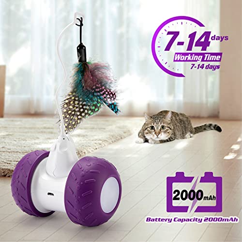 BEBOBLY Automatic Cat Toys Interactive for Indoor Cats, Electric Mouse Feather Toy for Kitten Pet Exercise Chasing Hunting, Self-Entertaining Smart Toys for Play Alone, USB Charging