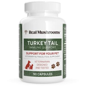 turkey tail pet support - dog multivitamins and supplements for immune support, gut health & wellness - grain-free, gluten-free, vet-approved dog supplement (90ct)