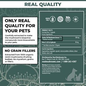 Turkey Tail Pet Support - Dog Multivitamins and Supplements for Immune Support, Gut Health & Wellness - Grain-Free, Gluten-Free, Vet-Approved Dog Supplement (90ct)