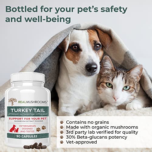 Turkey Tail Pet Support - Dog Multivitamins and Supplements for Immune Support, Gut Health & Wellness - Grain-Free, Gluten-Free, Vet-Approved Dog Supplement (90ct)