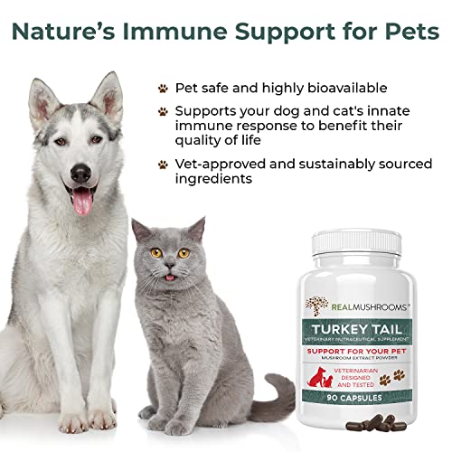 Turkey Tail Pet Support - Dog Multivitamins and Supplements for Immune Support, Gut Health & Wellness - Grain-Free, Gluten-Free, Vet-Approved Dog Supplement (90ct)