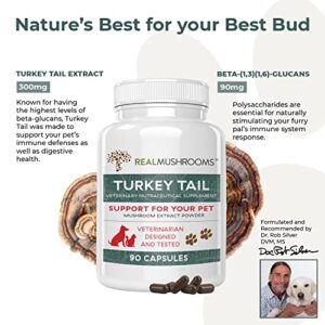 Turkey Tail Pet Support - Dog Multivitamins and Supplements for Immune Support, Gut Health & Wellness - Grain-Free, Gluten-Free, Vet-Approved Dog Supplement (90ct)