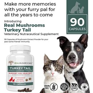 Turkey Tail Pet Support - Dog Multivitamins and Supplements for Immune Support, Gut Health & Wellness - Grain-Free, Gluten-Free, Vet-Approved Dog Supplement (90ct)