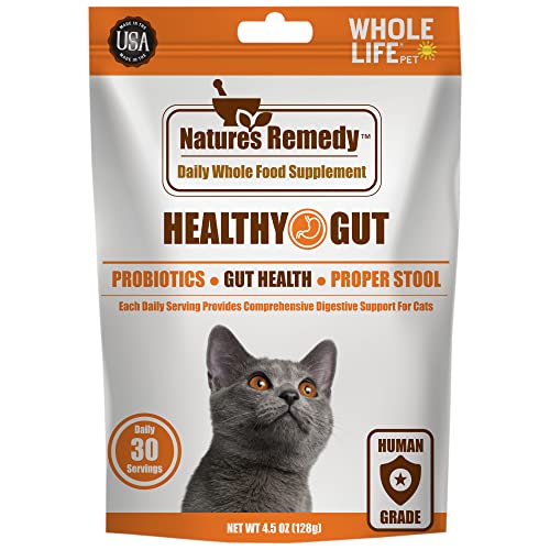 Whole Life Pet Healthy Gut Daily Supplement for Cats – Probiotics with Pumpkin. Helps Digestion + Stool Formation. Mixes in Food or with Water for Hydrating Snack