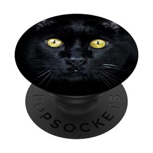 black cat kitty kitten popsockets swappable popgrip