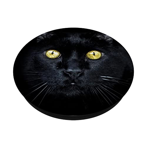 Black Cat Kitty Kitten PopSockets Swappable PopGrip