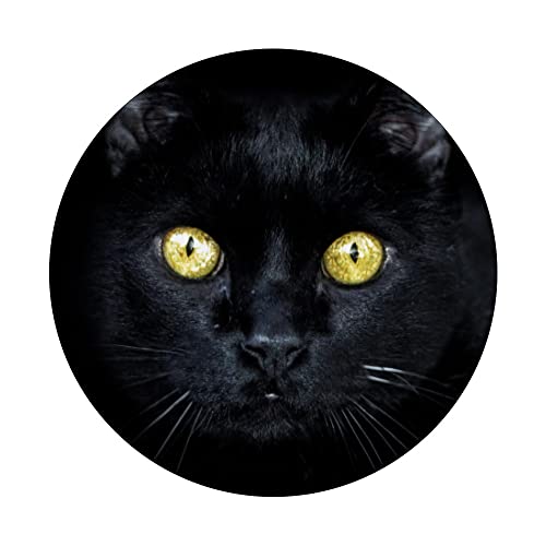 Black Cat Kitty Kitten PopSockets Swappable PopGrip