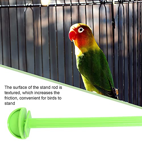 Mikikit Parrot Perch Stand Bird Cage Platform Stand: ing Rods Plastic Parrot Cage Standing Bird Cage Accessories Platform Plastic Stick Playground for Small Medium Birds- 10 Pcs