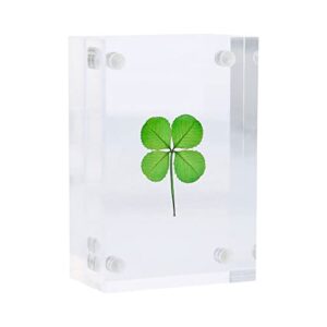 Clovers Online Genuine Preserved Four Leaf Clover Suspended in a Modern Minimalistic Clear Thick Acrylic Free Standing Block Frame for Tabletop or Desktop Decor