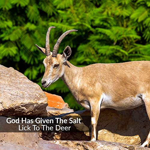 Himalayan Nature Licking Salt for Deer - 2 Pack