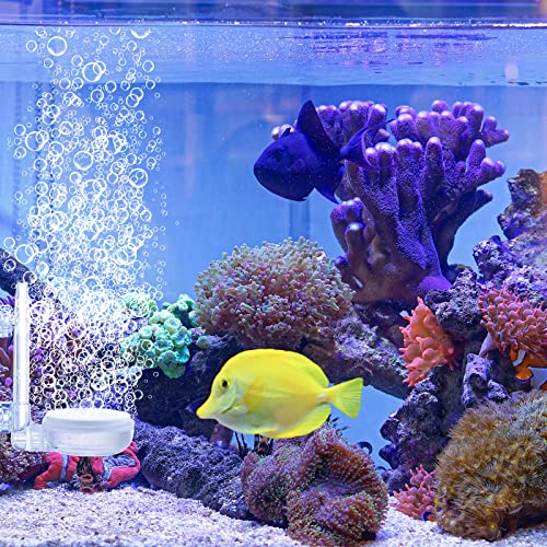 Quiet Aquarium Air Stone Fish Tank 2 Pieces Nano Air Stone Kit Air Pump for Aquarium Fish Tank Air Stone for Aquarium Diffuser with Control Valve and Suckers for Fish Tank and Hydroponic