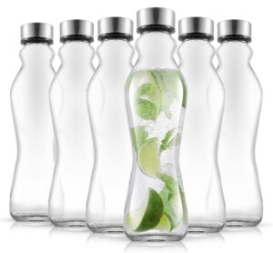 joyjolt spring glass water bottles set of 6-18 oz glass bottles with stainless steel caps - glass drinking bottles with leakproof lids - reusable glass juice bottle - container bottle set