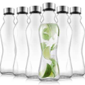 JoyJolt Spring Glass Water Bottles Set of 6-18 oz Glass Bottles with Stainless Steel Caps - Glass Drinking Bottles with Leakproof Lids - Reusable Glass Juice Bottle - Container Bottle Set