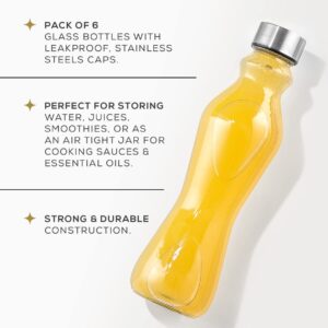 JoyJolt Spring Glass Water Bottles Set of 6-18 oz Glass Bottles with Stainless Steel Caps - Glass Drinking Bottles with Leakproof Lids - Reusable Glass Juice Bottle - Container Bottle Set