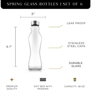 JoyJolt Spring Glass Water Bottles Set of 6-18 oz Glass Bottles with Stainless Steel Caps - Glass Drinking Bottles with Leakproof Lids - Reusable Glass Juice Bottle - Container Bottle Set