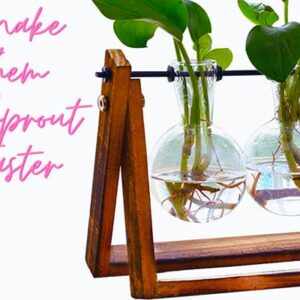 Plant Propagation Station Terrarium with Wooden Stand – Plant Terrarium Stand with 4 Glass Planters for Indoor Plants – Air Plant Holder for House Plants, Home and Office Decor