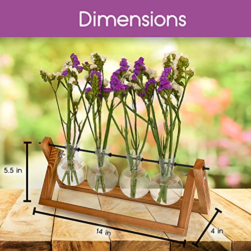 Plant Propagation Station Terrarium with Wooden Stand – Plant Terrarium Stand with 4 Glass Planters for Indoor Plants – Air Plant Holder for House Plants, Home and Office Decor