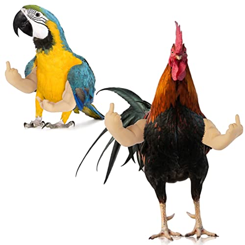 FUAMEY Muscle Chicken Arms Toys for Chickens to Wear, Funny Costume Fist Fighting Arms Toy for Pet Prank Themed Party, Artificial Arms Costume Cosplay for Chickens Rooster Hens