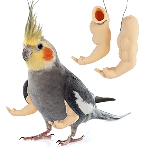 FUAMEY Muscle Chicken Arms Toys for Chickens to Wear, Funny Costume Fist Fighting Arms Toy for Pet Prank Themed Party, Artificial Arms Costume Cosplay for Chickens Rooster Hens