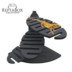Reptabox Creations Spiral Bearded Dragon Wood Lounge - Perfect Climbing & Basking Perch for Bearded Dragons Uromastyx and Gecko | Ideal Bearded Dragon Tank Accessory (15" x 13" 11")