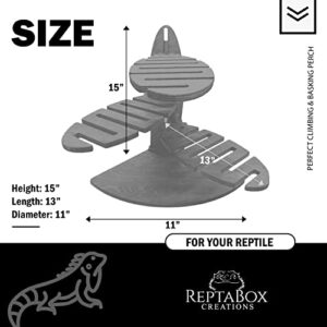 Reptabox Creations Spiral Bearded Dragon Wood Lounge - Perfect Climbing & Basking Perch for Bearded Dragons Uromastyx and Gecko | Ideal Bearded Dragon Tank Accessory (15" x 13" 11")