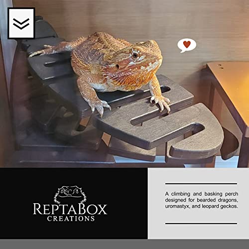 Reptabox Creations Spiral Bearded Dragon Wood Lounge - Perfect Climbing & Basking Perch for Bearded Dragons Uromastyx and Gecko | Ideal Bearded Dragon Tank Accessory (15" x 13" 11")