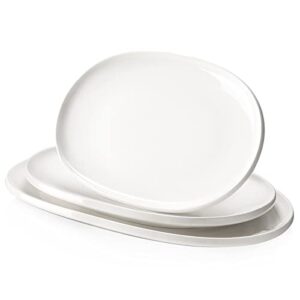 dowan large serving platter, 16"/14"/12" turkey platters for entertaining thanksgivng party, white oval plates set of 3, porcelain serving dishes for serving food, housewarming gifts