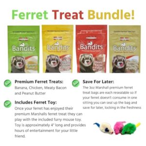 Marshall Bandit Ferret Treats - Includes Marshall Ferret Bandit Treats and Ferret Toy - Ferret Vitamins - 3oz Sealable Bags of Banana Treats, Bacon, Chicken, Peanut Butter and Raisin Flavor