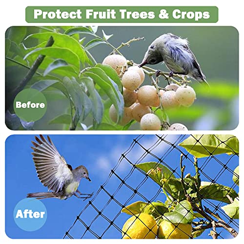 JUNKOGO Garden Netting, 7 x 100 Ft, Safe Against Bird, Squirrel, Deer and Other Pests, Extra Strong Bird Netting for Garden, Garden Fence Net, Protect Vegetables, Plants and Fruit Trees, Green